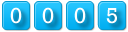 website counter